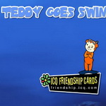    Teddy Goes Swimming